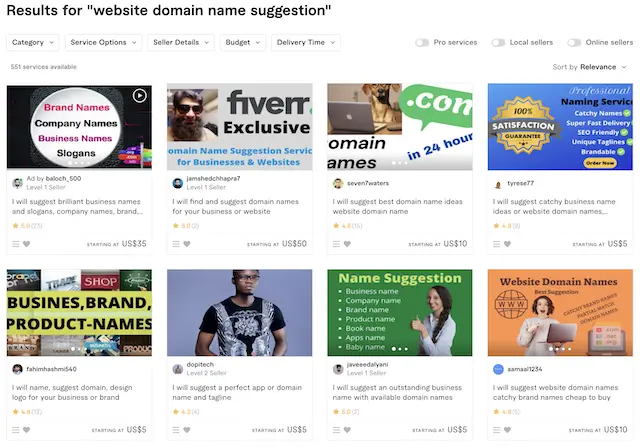 Fiverr search results page for website domain name suggestion