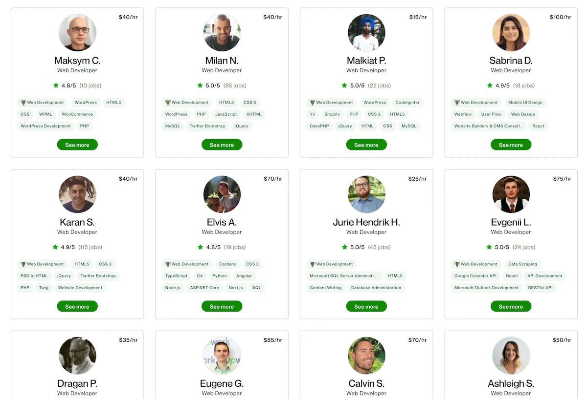 Examples of web developers on Upwork.